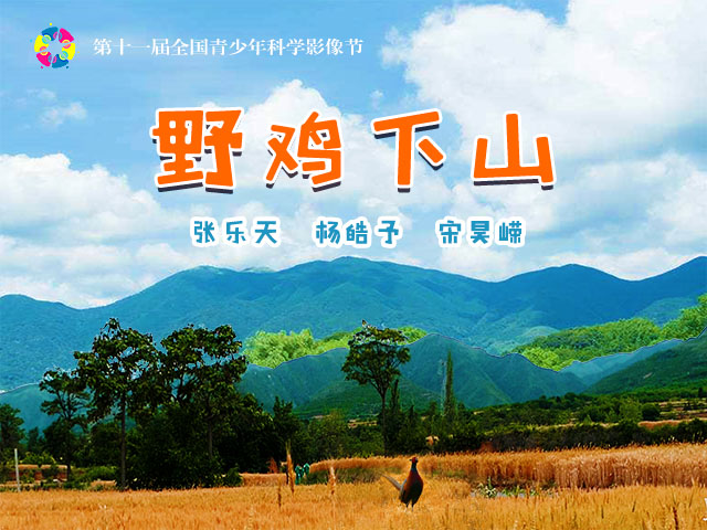 科学探究：《关中平原山鸡大量出现之谜》